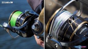 May cau doc Daiwa 22 Caldia SW
