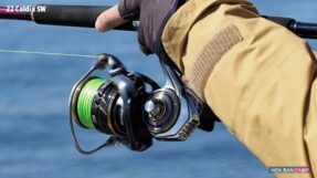 May cau doc Daiwa 22 Caldia SW