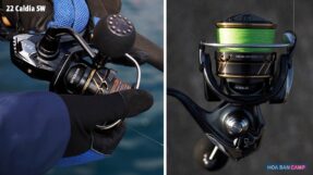 May cau doc Daiwa 22 Caldia SW