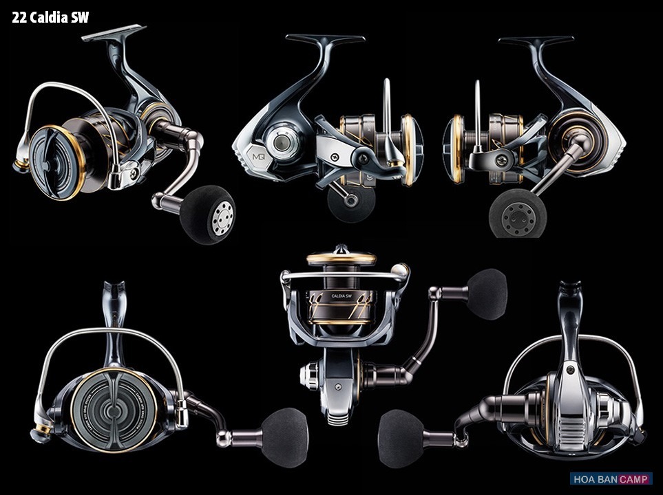 May cau doc Daiwa 22 Caldia SW