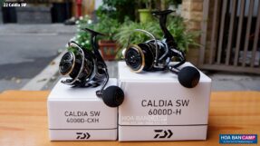 May cau doc Daiwa 22 Caldia SW