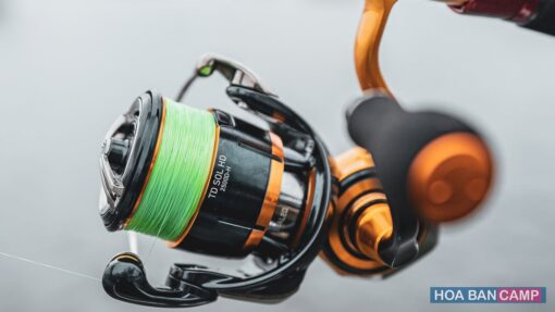 May Cau Doc Daiwa 23 TD SOL HD 05