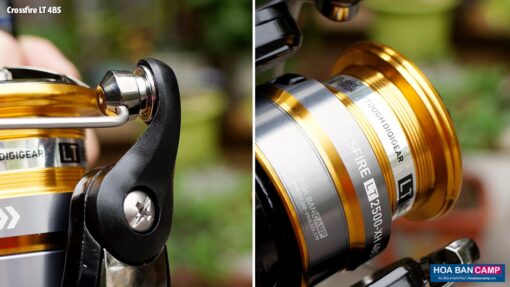 Máy Câu Dọc Daiwa Crossfire LT 4BS | 2020