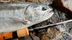 Cần Lure Daiwa 22 Wise Stream | 3 Khúc