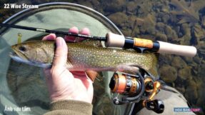 Cần Lure Daiwa 22 Wise Stream | 3 Khúc