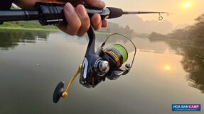 May Doc Daiwa Legalis 2023 1