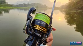 May Doc Daiwa Legalis 2023 3