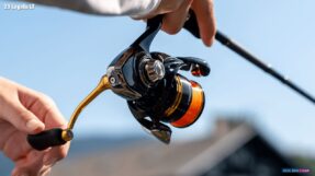 Daiwa 23 Legalis LT