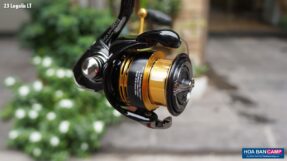 Daiwa 23 Legalis LT