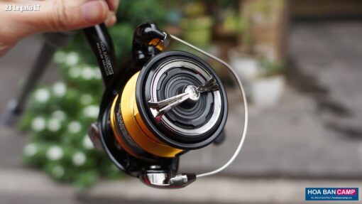 Daiwa 23 Legalis LT