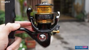 Daiwa 23 Legalis LT