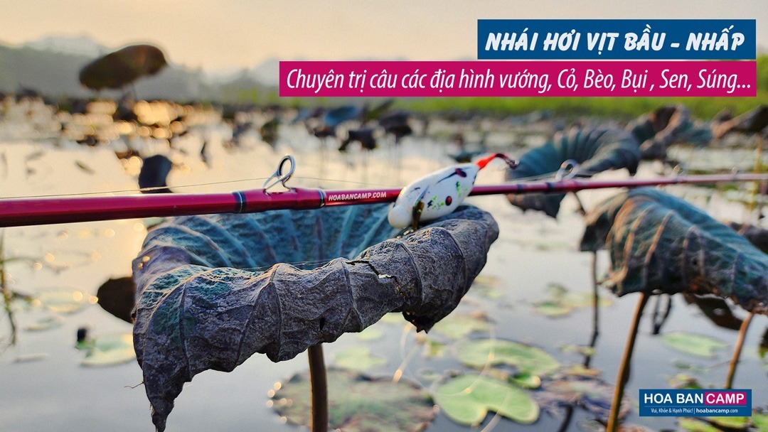 Nhai Hoi Vit Bau Nhap 4b