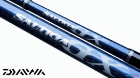 Can Jig Daiwa Saltiga GX 2023