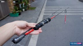 Daiwa EBI X