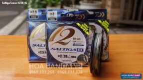 Day du Daiwa Saltiga Sensor 12EX-Si 5 color