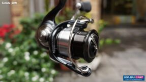 May cau doc Daiwa Certate 2024