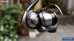 May cau doc Daiwa Certate 2024