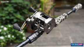 May Ngang Shimano Calcutta Conquest BFS