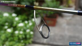 Cần Lure Shimano World Shaula Limited | 2023