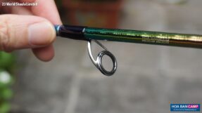 Cần Lure Shimano World Shaula Limited | 2023