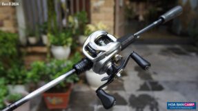 Daiwa Bass X 100 | 2024