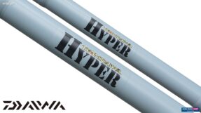 Lure Daiwa TD Hyper 2pcs