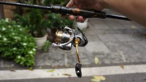 Máy Câu Dọc Daiwa Freams LT | 2021