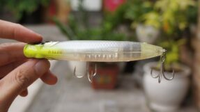 BONE Entice Topwater Pencil ET110 | 11cm – 20g