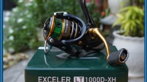 Máy câu dọc Daiwa Exceler LT