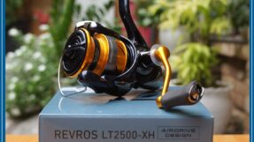 Daiwa Revros LT | 23-24