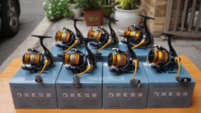 Daiwa Revros LT | 23-24