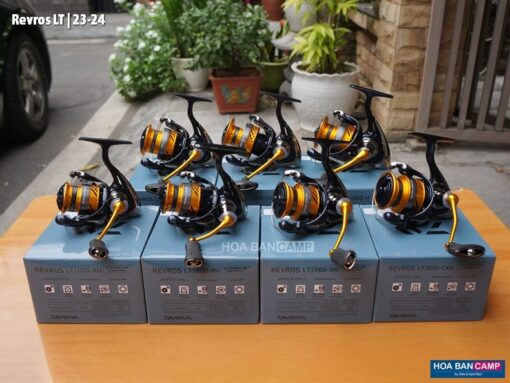 Daiwa Revros LT | 23-24