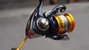 Daiwa Revros LT | 23-24