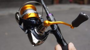 Daiwa Revros LT | 23-24