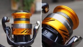 Daiwa Revros LT | 23-24