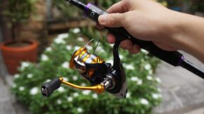 Daiwa Revros LT | 23-24