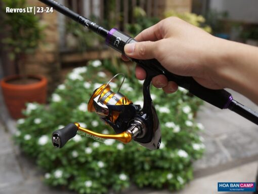 Daiwa Revros LT | 23-24