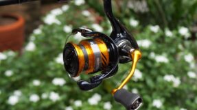 Daiwa Revros LT | 23-24