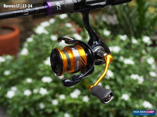 Daiwa Revros LT | 23-24