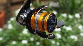 Daiwa Revros LT | 23-24