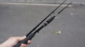 Can Lure Daiwa Seabass Flat X 2023