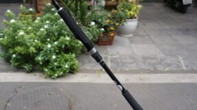 Can Lure Daiwa Seabass Flat X 2023