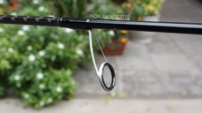 Can Lure Daiwa Seabass Flat X 2023