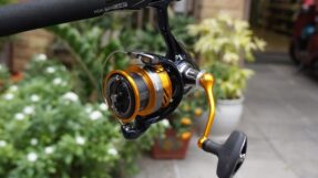 May Daiwa Revros LT 24-JDM