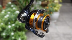 May Daiwa Revros LT 24-JDM