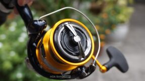 May Daiwa Revros LT 24-JDM