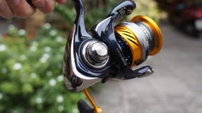 May Daiwa Revros LT 24-JDM