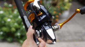 May Daiwa Revros LT 24-JDM