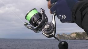 May cau doc Daiwa 25 Caldia LT