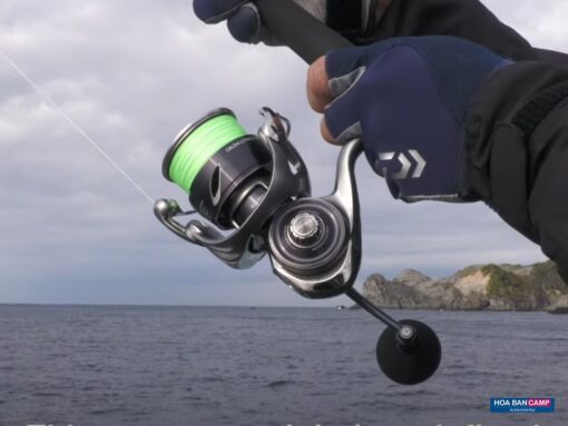 May cau doc Daiwa 25 Caldia LT